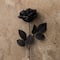 Black Open Rose Stem by Ashland™
